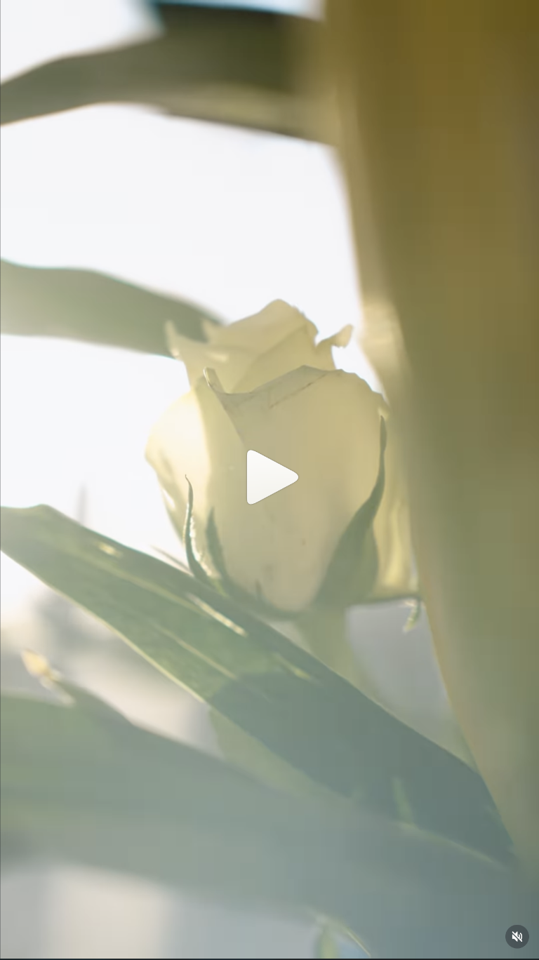 The Unbearable Weight of Massive Talent movie poster